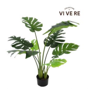 PLANT MONSTERA NEW GREEN 115CM