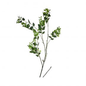 LEAF BRANCH DENSE GREEN