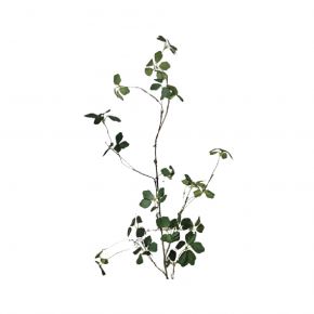 LEAF FLOWY GREEN