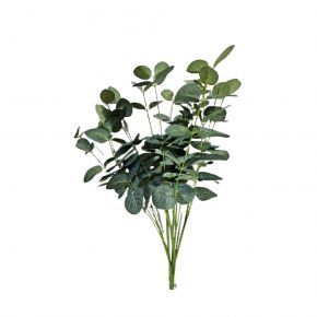 LEAF EUCA DOLLAR GREEN