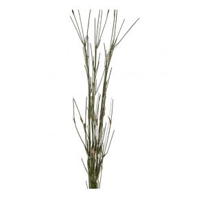 LEAF MINI BAMBOO GREEN