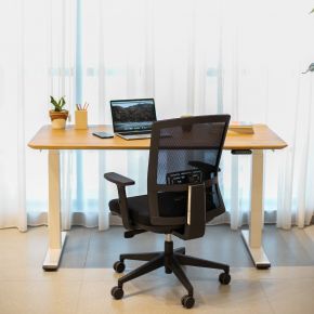 FLEX ADJUSTABLE DESK WITH LYON PACKAGE A