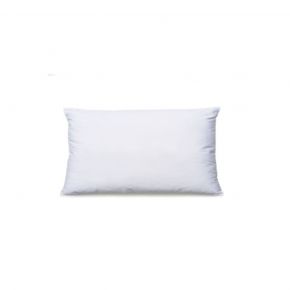 INSERT CUSHION SD WHITE 30X50CM