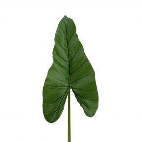 LEAF PHILODANDRON COCOSKIN GREEN 89CM