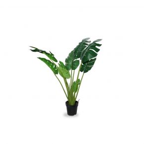 PLANT NEW MONSTERA NEW GREEN 115CM