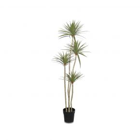 PLANT NEW FOUR POLE IRON TREE GREEN 180CM