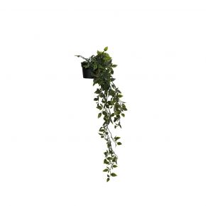 PLANT NEW HANGING PLANT SMALL GRASS GREEN